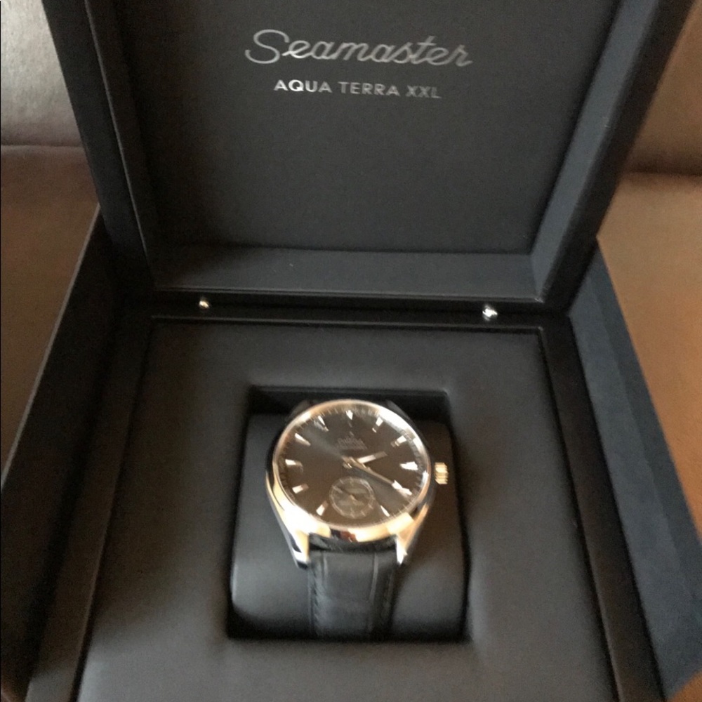 Omega Seamaster watch